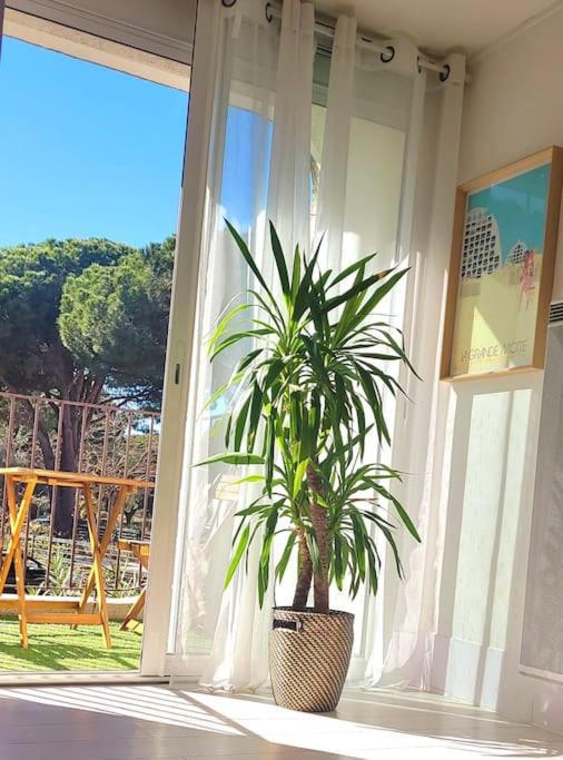 Superbe Studio Au Calme A 8Mn De La Plage La Grande Motte Ngoại thất bức ảnh
